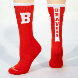 socks.png